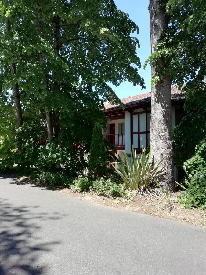 Appartement Le Parc D Arradoy Saint-Jean-Pied-de-Port Kültér fotó